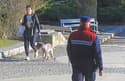 (FOTO) Poostren nadzor redarjev: Kako se lastniki psov držijo pravil v Mestnem parku
