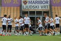 Nogometaši Rosenborga lorda niso pripeljali v Maribor
