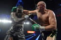 Fury in Wilder poleti ne bosta še tretjič prekrižala pesti