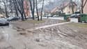 (FOTO) Kakšna svinjarija! Občina opozarja: Zelenice niso parkirišča! Bodo potrebni stebrički?