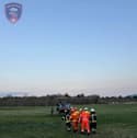 (FOTO) Moškega med grabljenjem listja pred hišo ugriznil modras, odpeljali so ga na zdravljenje v Ljubljano