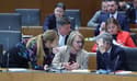 Nemir pri Logarjevih Demokratih: Del članstva nasprotuje vstopu v Janševo vlado