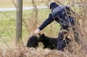Policijski pes na kraju prometne nesreče našel podhlajenega in poškodovanega voznika