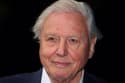 (PORTRET TEDNA) Sir David Attenborough: Prvi glas narave praznuje sto let