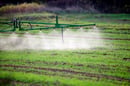 Znanstveniki so potrdili močno povezavo med kmetijskimi pesticidi in rakom