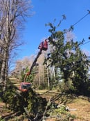 Mariborsko Pohorje: Večja veja padla na sedežnico Stolp
