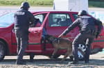 Koalicijska pogodba o notranjih zadevah in javni upravi: Testiranje omamljenosti, policistom pa ločen plačni sistem