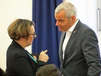 Lidija Divjak Mirnik župana Arsenoviča poziva k odstopu: "Politično ste odgovorni. Operite svoje dobro ime!"