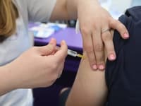 Začenja se sezonsko cepljenje proti klopnemu meningoencefalitisu