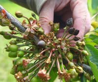 Vremenski šok za Evropo: Arktični zrak prinaša nevarnost, ki skrbi strokovnjake