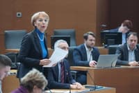 Černač bivši poslanski kolegici: Zadostuje zdrava kmečka pamet. In prerazporeditev tisočev birokratov v "proizvodnjo"