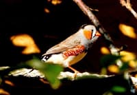 Od domačega praga do oceanskih globin