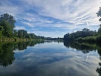 (FENOMENI) Kolumna Svetlane Slapšak: Dobrota je sirota … in obratno?