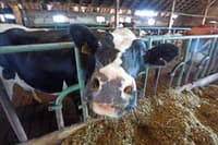 (REKLI SO) Nataša Kramberger: Odkar imamo krize