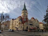 Celjski svetniki brez debate potrdili "začasnega" direktorja zavoda za ples