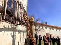 (FOTO) Na Ptuju opravili prvi rez potomke najstarejše trte na Lentu