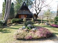 V Mozirskem gaju se začenja pomlad