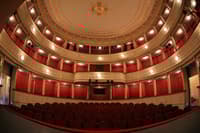 Enaindvajset predstav na dan