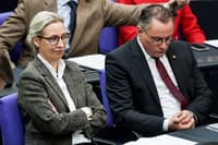 Konec ljubezni? AfD se je distancirala od Trumpa