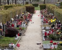 (FOTO) Veter ni prizanesel niti mariborskim pokopališčem: Poglejte to opustošenje ...