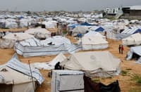 (Fenomeni) Kolumna Svetlane Slapšak: Navada je železna srajca