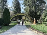 (FOTO) Pomlad znova zacvetela v Mozirskem gaju. Kaj vse je in bo na ogled?