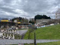 (FOTO) Peter Misja, župan Podčetrtka: "Napolnili bomo še Rogaško Slatino!"