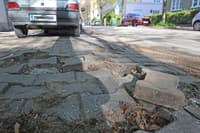 (MESTNI INŠPEKTOR) Plačujete parkirnino, parkirate pa v blatu?