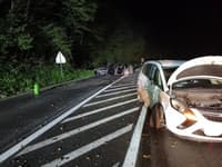 (FOTO) Nočna intervencija za PGE Krško: Na regionalni cesti trčili osebni vozili