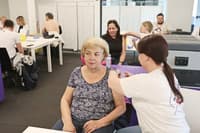 V Ljudskem vrtu so včeraj preganjali bolezen klopov