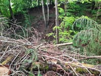 So stebri rešitev za dolgo pričakovano kolesarsko pot Celje–Laško?