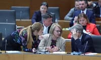 Nemir pri Logarjevih Demokratih: Del članstva nasprotuje vstopu v Janševo vlado