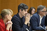 Mesec o revanšizmu SDS in Stevanovićevi nesposobnosti: "Čeprav je ta mail dobil cel kabinet, ga niso prebrali"