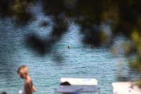 Na priljubljeni plaži v Zadru se širi neznosen smrad, kopalce presenetil grozljiv prizor v morju