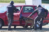 Koalicijska pogodba o notranjih zadevah in javni upravi: Testiranje omamljenosti, policistom pa ločen plačni sistem