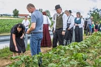 Slovenske železnice z vseslovenskim projektom setve sončnic povezujejo lokalne skupnosti