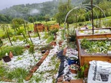 (FOTO) Močan naliv in gosta toča zalila in pobelila dvorišča: "Naenkrat se je čisto stemnilo"