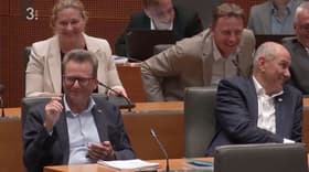 (REKLI SO) Ranka Ivelja: Krščanski demokrati so ga najbrž za uho ...