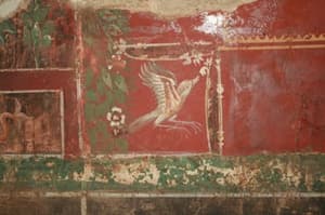 Se freske po devetih letih končno vračajo v Celje?