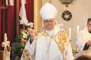 (PISMO BRALCA) Ustavite se, škof Peter Štumpf