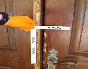 Vlomilci na delu: Na udaru gradbišča, stanovanja, kleti in rastlinjaki