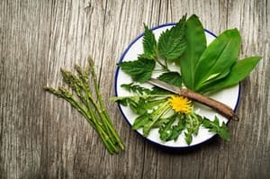 (NA ŽLICO) Zelena pomlad na krožniku: S šparglji nam nikoli ni dolgčas