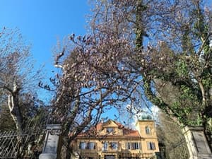 Nova era šoštanjskega dvorca Gutenbuchel