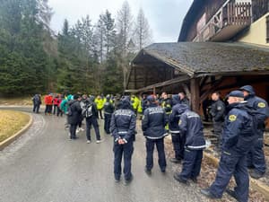 Pogrešano Ravenčanko Mileno Polajner skušajo najti z obsežnejšo iskalno akcijo