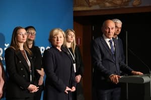 (PISMO BRALCA) Kritika delovanja SDS