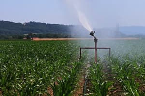 Gorišnica: Kmetije že z namakalnimi sistemi, a zaradi zamaknjenega razpisa ni dovolj opreme