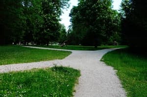 Zadnji vetrolom prizadel tudi ormoški grajski park