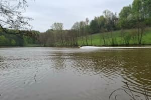 Blaguško jezero zaprto: Alge zadušile vodo, ribe množično poginjajo
