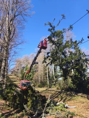 Mariborsko Pohorje: Večja veja padla na sedežnico Stolp