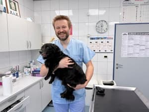 (INTERVJU) Martin Kovše, veterinar: Lastništvo živali je odgovornost, ne impulzivna odločitev